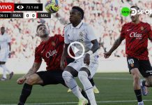 Real-Madrid-vs-Mallorca-en-vivo-online-gratis-por-internet