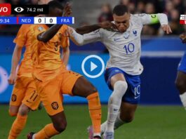 Países-Bajos-vs-Francia-en-vivo-online-gratis