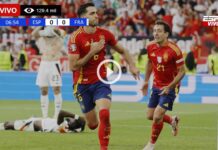España-vs-Francia-en-vivo-online-gratis-por-internet