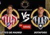 Atlético de Madrid vs Botafogo en vivo online gratis hoy