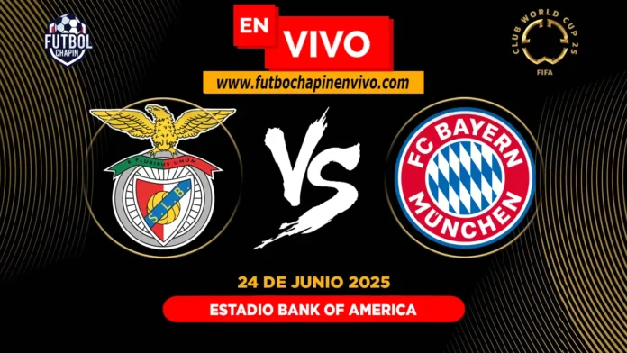 Benfica vs Bayern Munich en vivo Benfica vs Bayern Munich en vivo