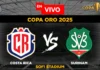 Costa Rica vs Surinam en vivo online gratis hoy