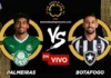 Palmeiras vs Botafogo en vivo online gratis hoy