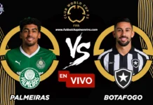 Palmeiras vs Botafogo en vivo online gratis hoy