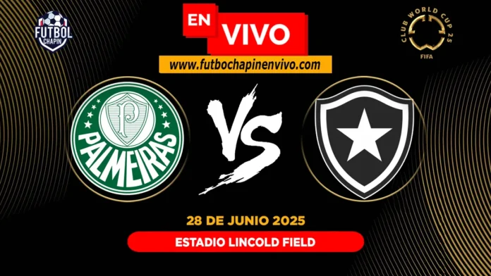 Palmeiras vs Botafogo en vivo Palmeiras vs Botafogo en vivo